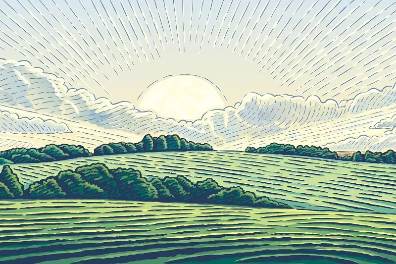 傳統知識為基石，現代科技做利器　青農創新翻土，在地永續路上的挑戰