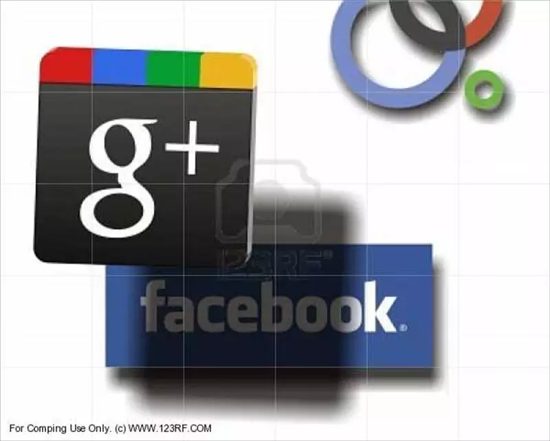 既生瑜何生亮? Google+的挑戰