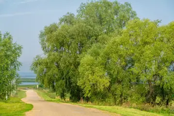 創造地方的吸引力－地方創生案例