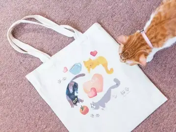 貓谷空間美學坊：貓的報恩外一章 貓谷奇遇記