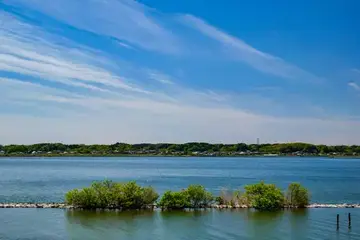 地方創生－日本霞浦湖從死湖到群鳥聚集的傳奇