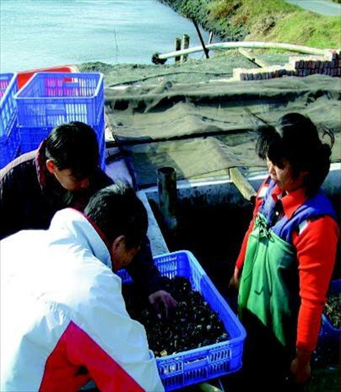 台灣養殖漁業規模、人力遠不及中國大陸與東南亞國家，業者應思考如何差異化找出利基。