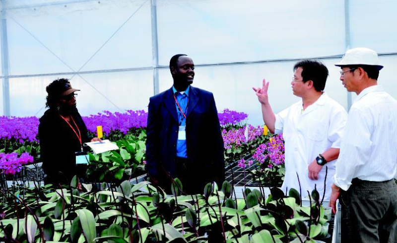 在技術領先的基礎上，建立獨特品牌，以花藝生活提案，提高附加價值，台灣方能在外銷戰中勝出。