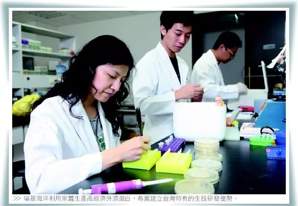 生技天蠶變產業風雲起 瑞基海洋 勤練蠶功打通金脈