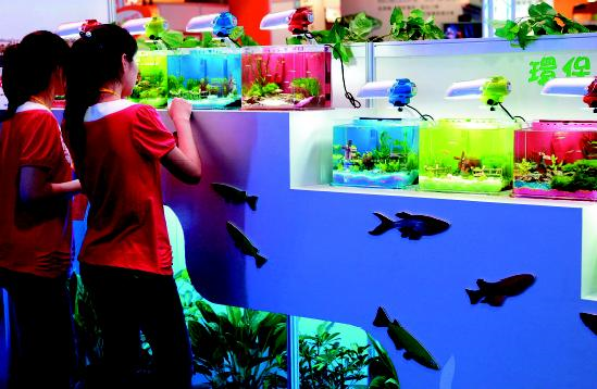 藉由造景與文化等包裝，可提升觀賞魚價值，進而帶動價格上揚。