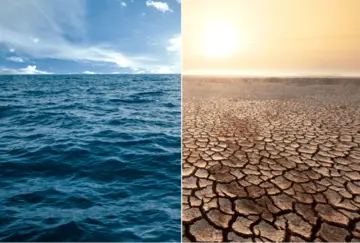 讓自然納入經濟循環  生物信用如何成為保育與永續的金融解方