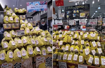 臺灣外銷鳳梨供應鏈考察，日本市場趨勢觀察