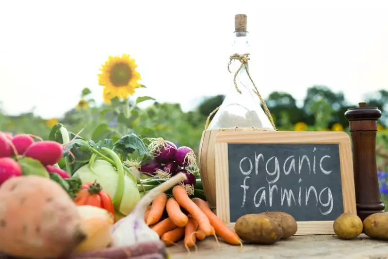 淺談推動綠色餐飲－FOOD MADE GOOD計畫