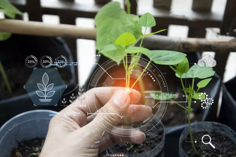 韓國智慧農業發展策略與政策支持