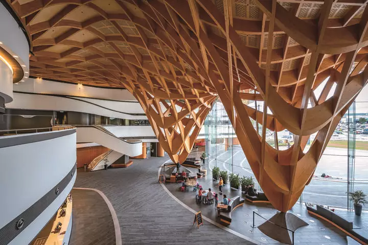 Google、Microsoft打造永續建築　木構建築復興，開闢永續未來蹊徑