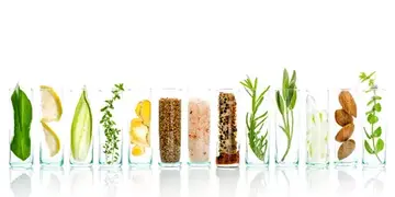  「大廚食材完全指南」～讓你認識食材邁向美食家之路