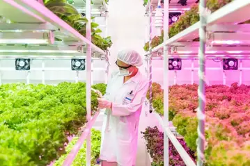 智慧害蟲防治技術報你知