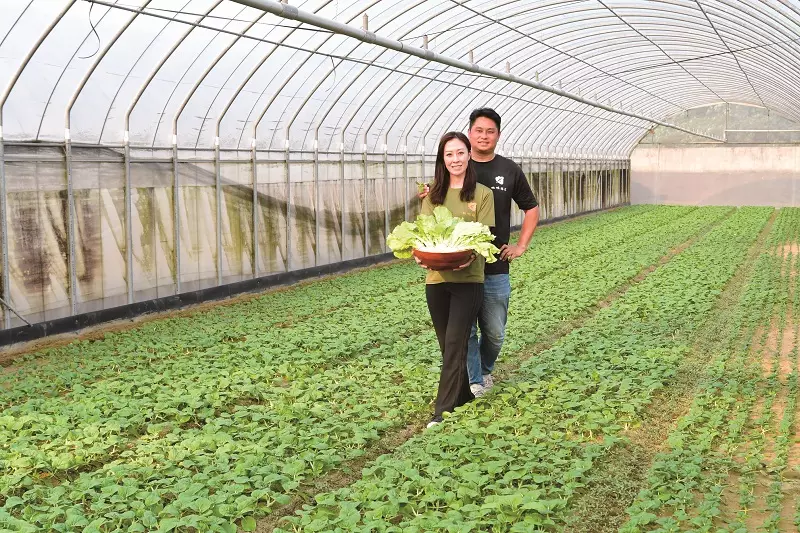 桃城蒔菜農業生產合作社　農三代創新翻土，打造共生、共榮、共好價值鏈