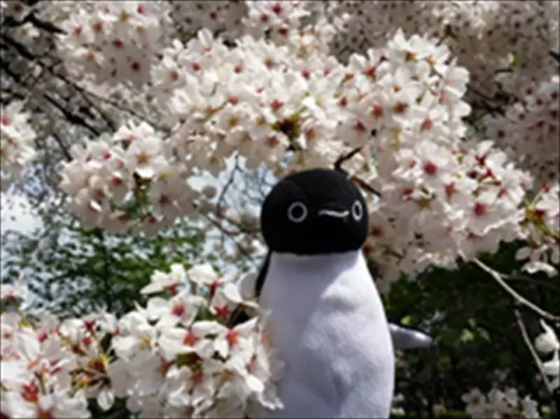 <社群達人-新「賺錢」世代>旅遊部落客林氏璧：自主推薦 讀者信任就是最大資產