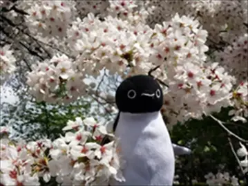 <社群達人-新「賺錢」世代>旅遊部落客林氏璧：自主推薦 讀者信任就是最大資產