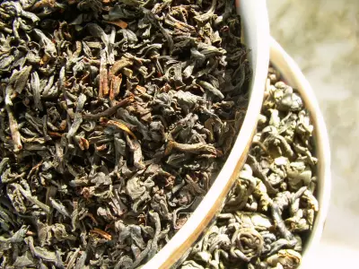 打破既有用茶經驗，打造台灣茶產業新未來