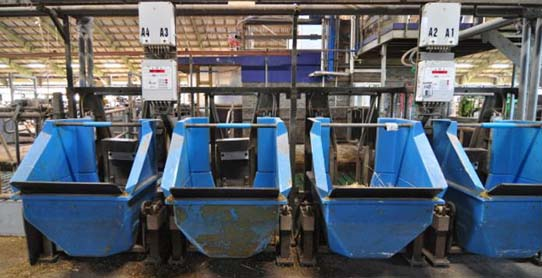 丹麥Danish Cattle Research Centre智慧化養牛地球不碳氣