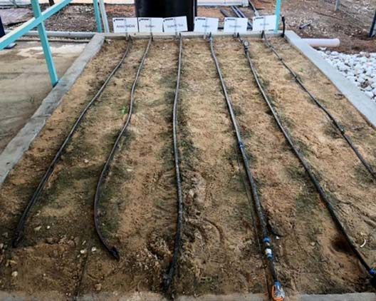 以色列Netafim滴灌設施節省農業用水