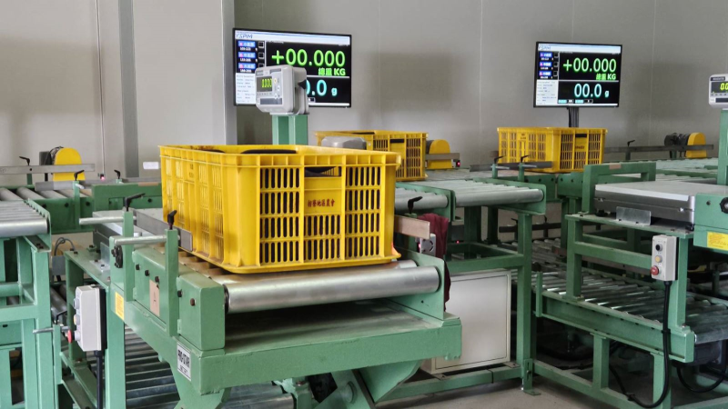 枋寮地區農會藉地方創生補助建置智慧化產銷多功能複合場域，設置鮮果分級包裝設備增加處理量能及效率，提升農業競爭力