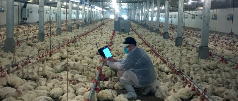 數位轉型卓越經營服務團 -- 協助企業打造轉型獲利藍圖