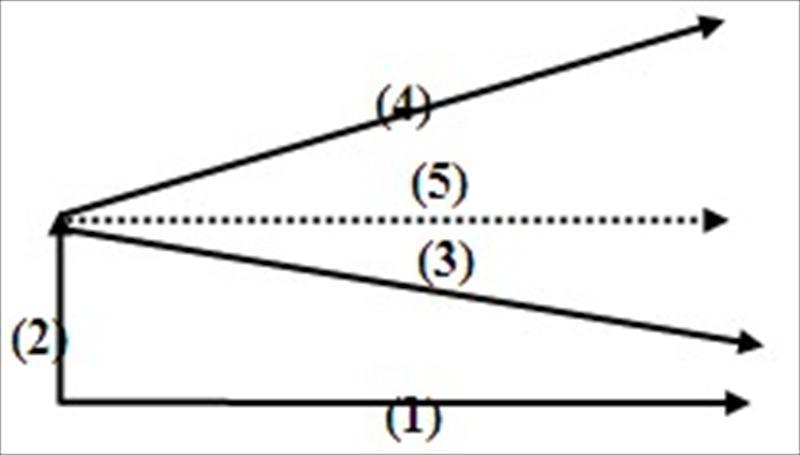 創新伴隨／不伴隨改善