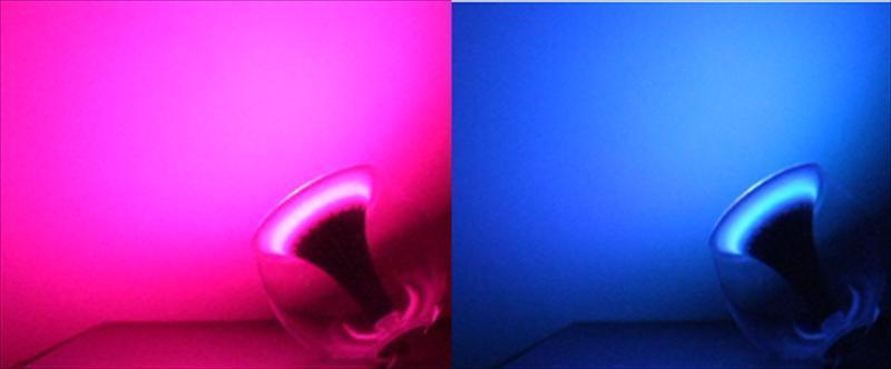 Living Colors的技術，以被Philips運用在多項產品／服務之中