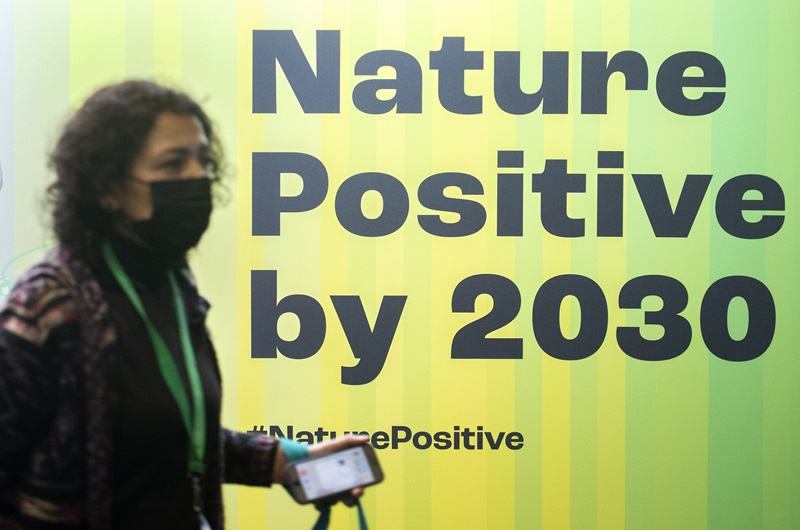 自然正成長經營以停止並扭轉生物多樣性損失為定義，實踐保護全球的生態與自然。