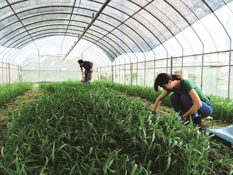 轉型過程中，邱冠鈞以現代化、機械化的概念，從源頭、時序、資材、採收及鮮度管理等面向，進行產業升級，不斷提昇品質，並觸及企業客戶需求，強化產銷供應鏈。