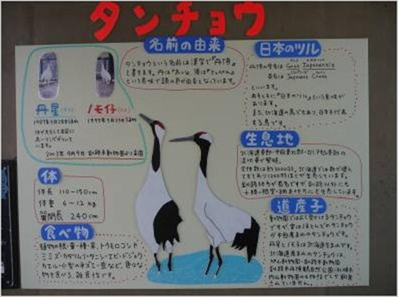 從飼養人角度, 製作而成的手寫式解說板的魅力。