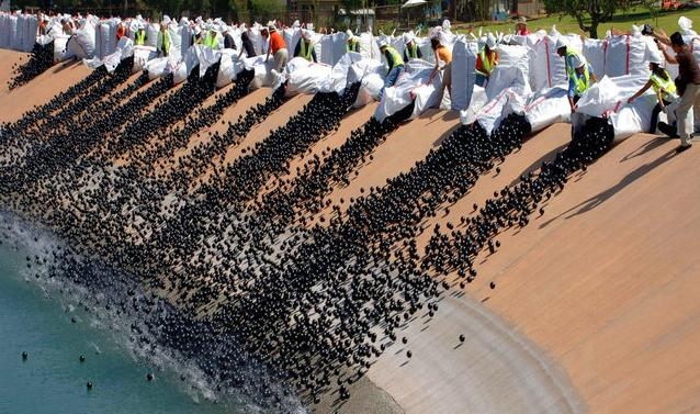 加州水庫灑入塑膠小黑球。