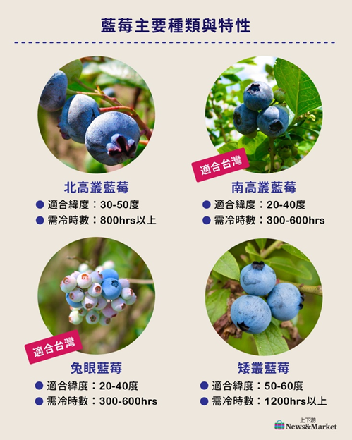 藍莓主要種類與特性（註：半高叢藍莓現有資料較少，故未列出）