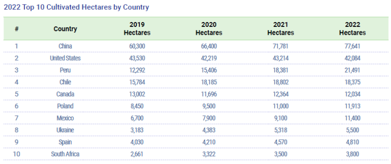 2022年全球國家藍莓種植面積前 10 名