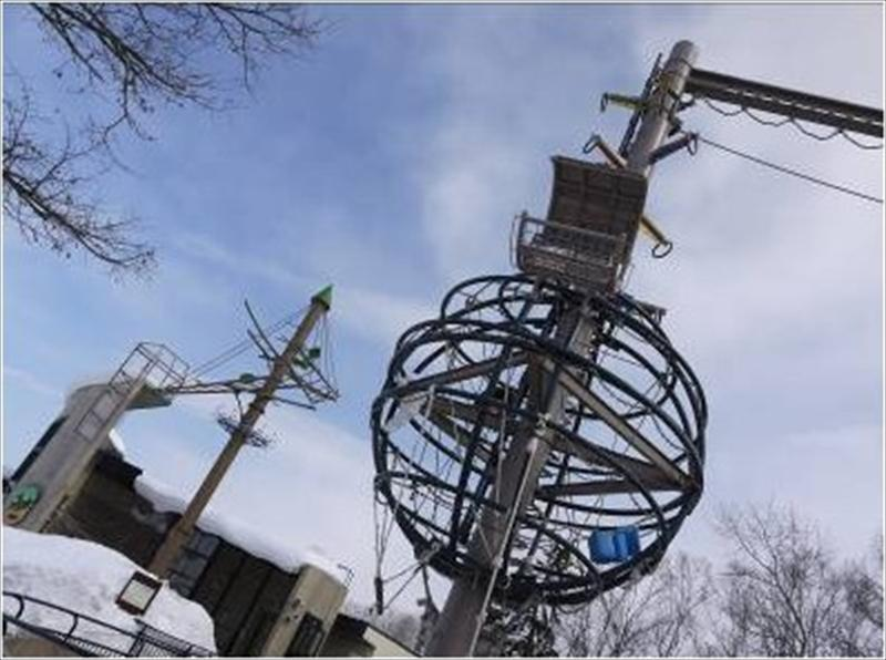 這是大猩猩的戶外活動區，高得得仰頭！