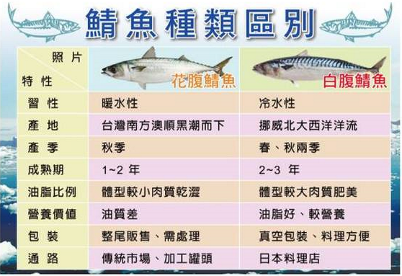 台灣鯖魚V.S.挪威鯖魚