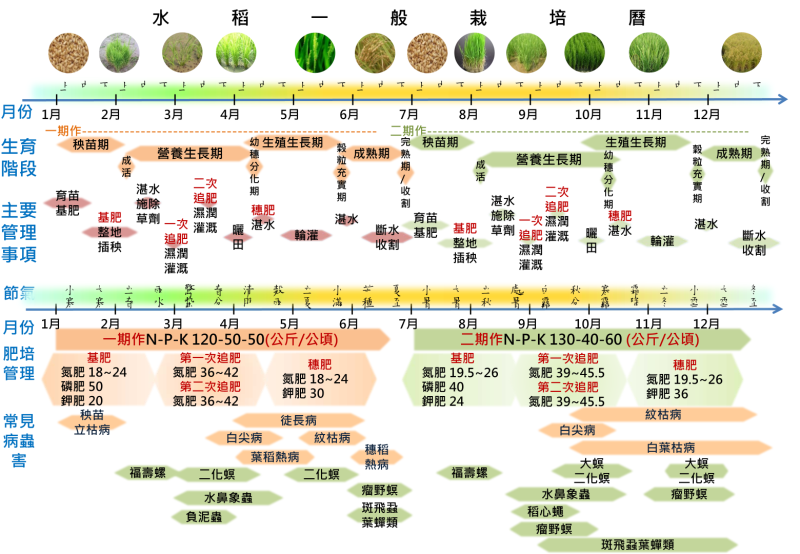作物防災栽培曆了解作物生長期、常見災害及病蟲害等管理事項。