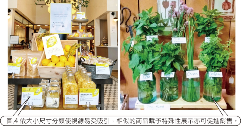 依大小尺寸分類使視線易受吸引，相似的商品予特殊性展示亦可促進銷售。