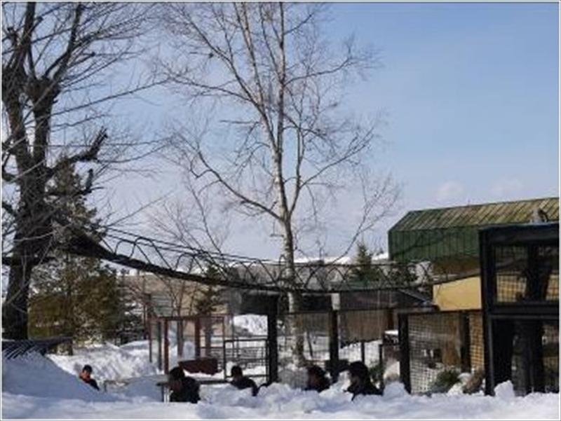 透過特別設計的動物活動區，讓戶外隨處可見的小動物身影； 組織場域的經營，也可決定企業文化的生成。