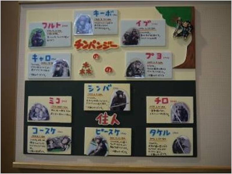 ​​​​​​​當動物有了名字，知道牠的故事，讓彼此的距離更近了； 人與人之間也會因為知道得更多，而有不同的連結。