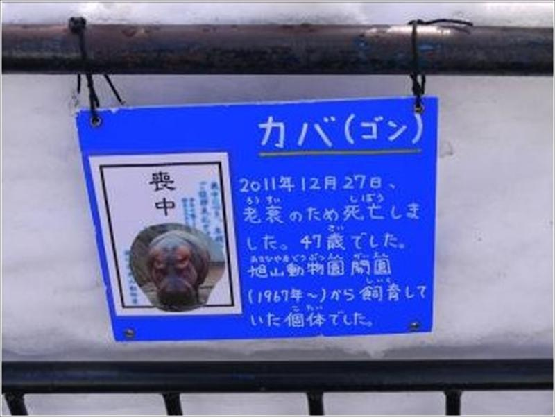 尊重生命的每一刻！