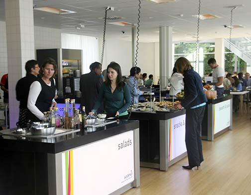 荷蘭科技農業拯救食荒