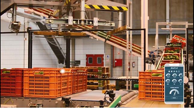 分析蔬果的品質與成熟度，進一步依照各通路消費者的反饋來調整顏色、甜度、硬度，提升市場的銷售成績。