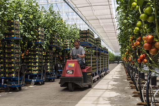 農業智財價值新主張