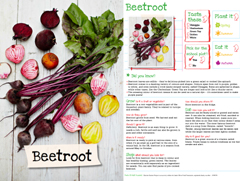 傑米奧利佛食物基金會執行長尼爾．洛孚(Neil Lovell)-新飲食失落世代重拾對食物的熱情